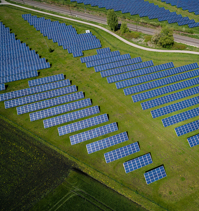 Solarpaneele, die in Reihen auf einer Wiese aufgestellt sind