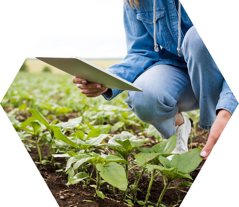 Person, die im Feld hockt und ein Tablet in der Hand hält